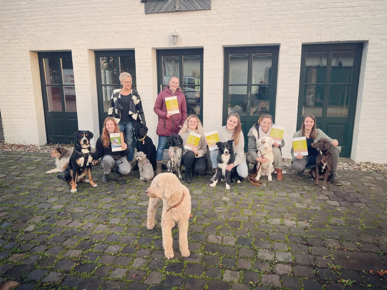 t.t.m.-therapie.tier.mensch.de UG haftungsbeschränkt - Therapeut - der Samenkopf oder die „Uhr“ eines gewöhnlichen Löwenzahns (Taraxacum officinale), wobei einige seiner Samen (sogenannte Achänen) weggeblasen werden.