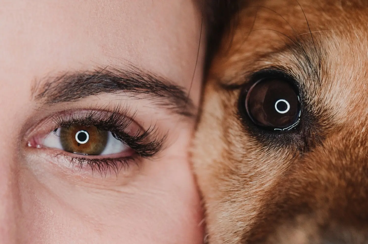 t.t.m.-therapie.tier.mensch.de UG haftungsbeschränkt - Therapeut - Hund